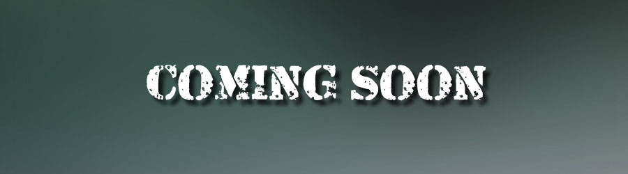 Mazatan Segway Excursion 7