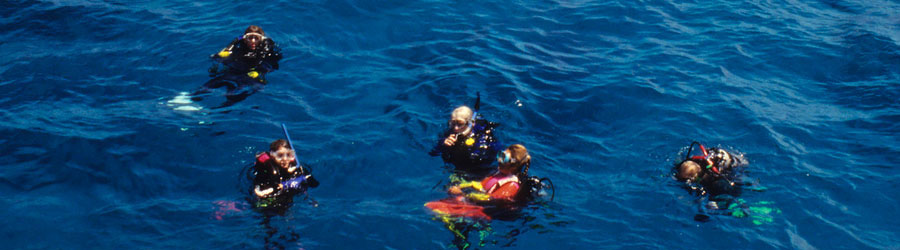Excursión de Buceo de 1 o 2 Tanques en Mazatlán 3