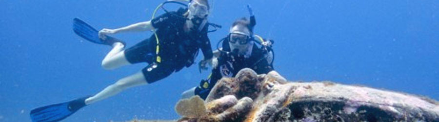 Excursión de Buceo de 1 o 2 Tanques en Mazatlán 4