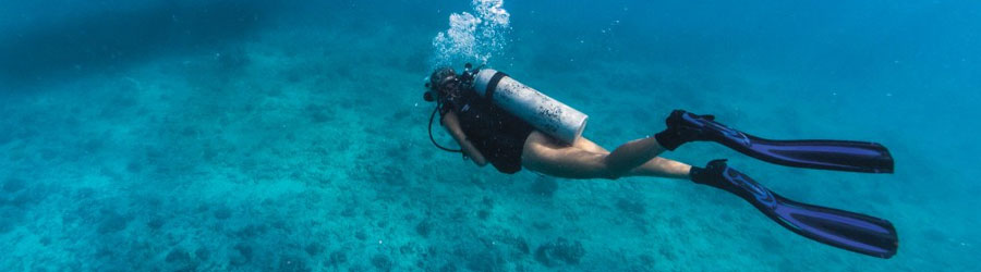 Excursión de Buceo de 1 o 2 Tanques en Mazatlán 6