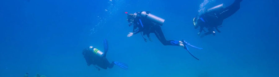 Excursión de Buceo de 1 o 2 Tanques en Mazatlán 7
