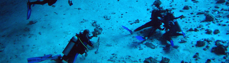 Excursión de Buceo de 1 o 2 Tanques en Mazatlán 8
