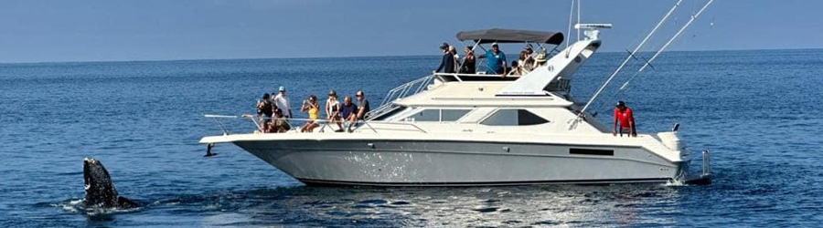 Mazatlan Whale Watching Yacht Tour 1
