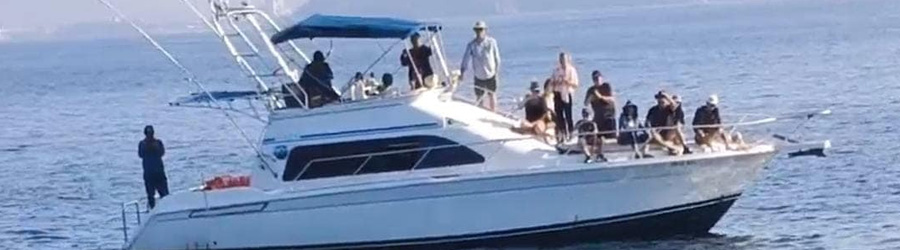 Mazatlan Whale Watching Yacht Tour 4