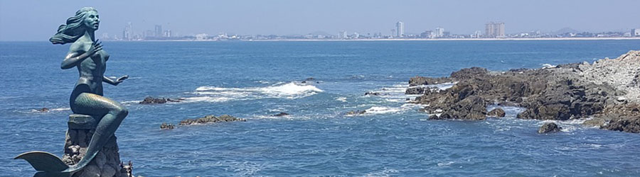 Avistamiento de Ballenas en Mazatlán 7