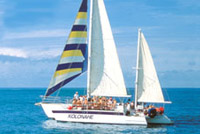 36' Sea Hunter Yacht