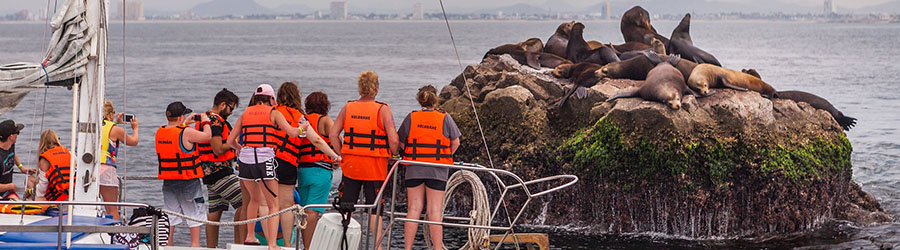 Mazatlan Private Catamaran Charter to Deer Island 1