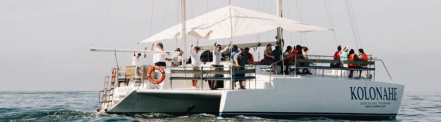 Mazatlan Private Catamaran Charter to Deer Island 5