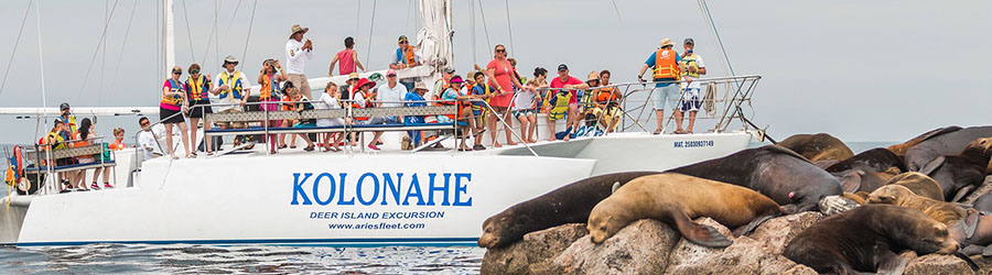 Mazatlan Private Catamaran Charter to Deer Island 6