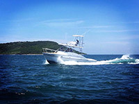 36' Sea Hunter Yacht