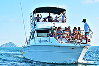 38 Sea Hunter I Yacht