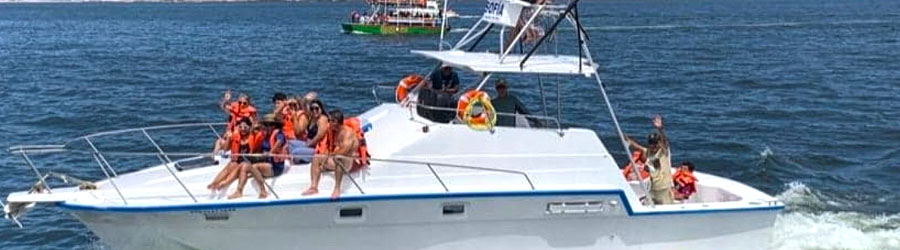 Mazatlan Custom Snorkeling Charter 1