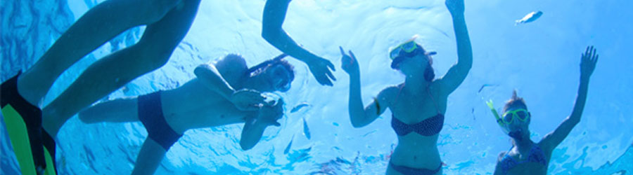 Mazatlan Custom Snorkeling Charter 3