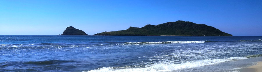 Mazatlan Custom Snorkeling Charter 5