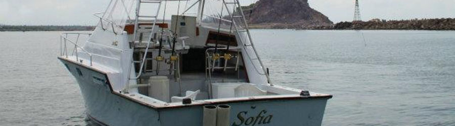 Mazatlan Custom Snorkeling Charter 6