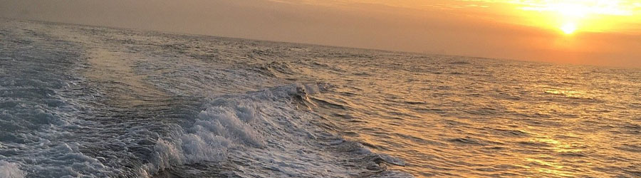 Mazatlan Custom Snorkeling Charter 8