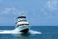 36' Sea Hunter Yacht