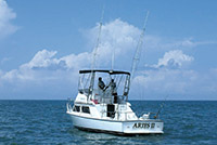 36' Sea Hunter Yacht