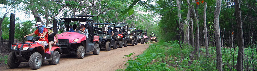 Excursión 4x4 en Rhino por la Playa & Montaña en Mazatlán 4