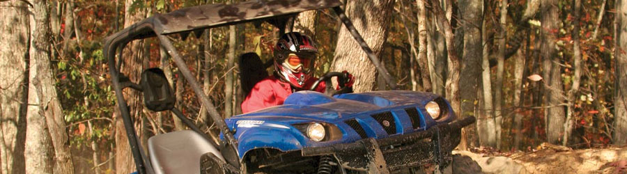 Excursión 4x4 en Rhino por la Playa & Montaña en Mazatlán 7