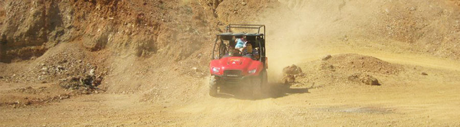 Excursión 4x4 en Rhino por la Playa & Montaña en Mazatlán 8