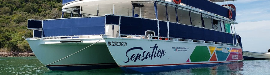 Mazatlan Booze Cruise & Deer Island Snorkeling Adventure 8