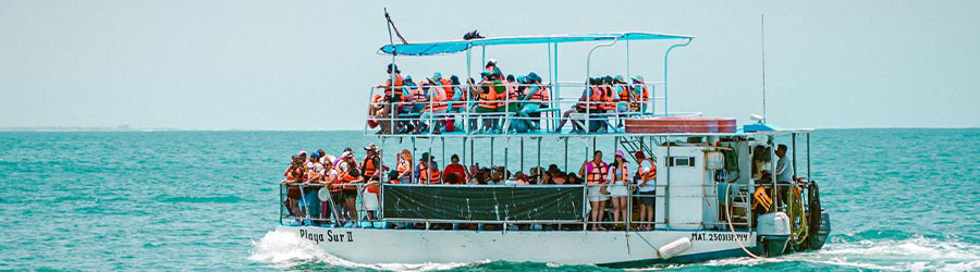 Mazatlan Stone Island Tour 8