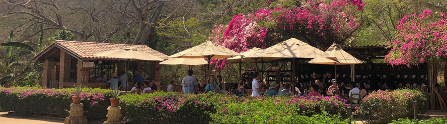 La Noria Mountain Village and Authentic Tequila Distillery Tour 2