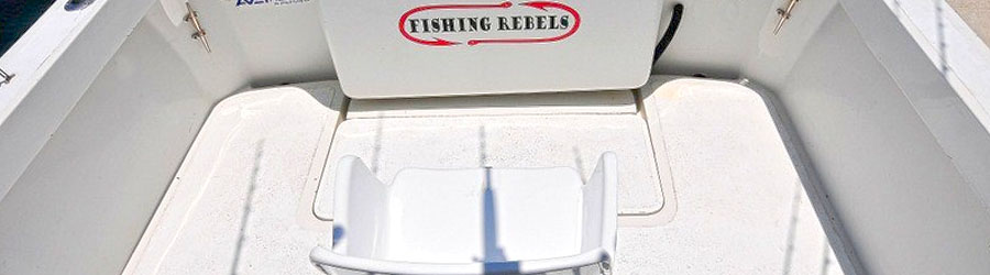 Luhrs Convertible de 25' (Para 4 pasajeros) 3