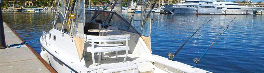 26' Shamrock Express (4 Pax) 1