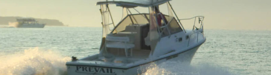 26' Shamrock Express (4 Pax) 3