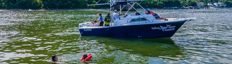 Barco Grady White de 33 pies para Snorkel & Pesca 5