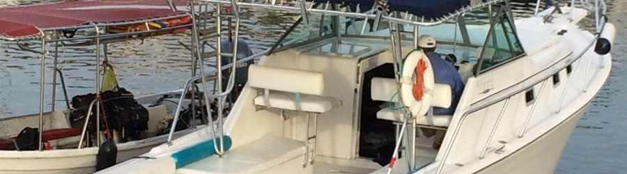 30’ Custom Snorkeling & Sport Fishing Charter 2