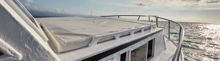 36’ Private Charter For Snorkeling Banderas Bay, Marietas Islands & Hidden Beach 2