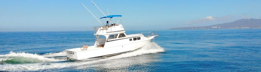 36’ Private Charter For Snorkeling Banderas Bay, Marietas Islands & Hidden Beach 3