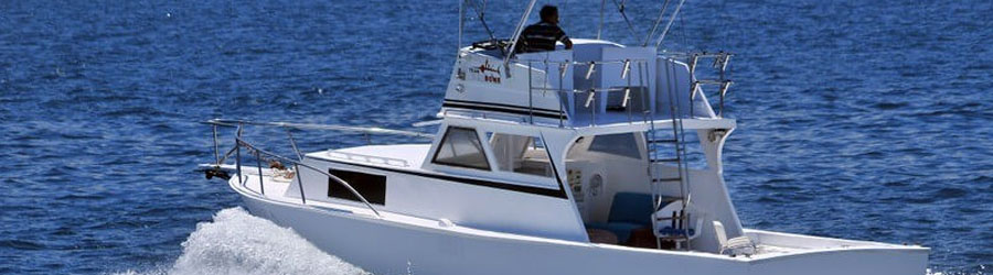 Barco de Pesca Personalizado de 36’ 8