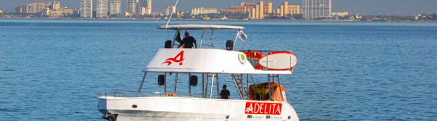 Private 42’ Double Decker Catamaran Charter in Puerto Vallarta 8