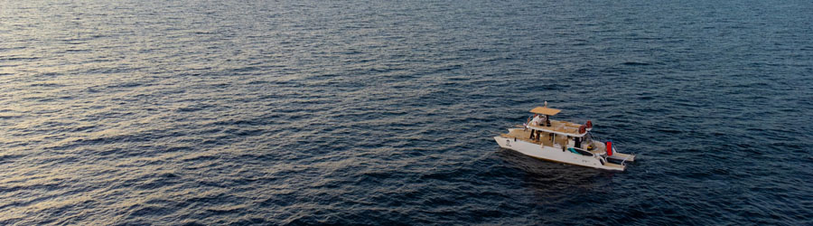 Private 42' Luxury Catamaran Charter Puerto Vallarta 3