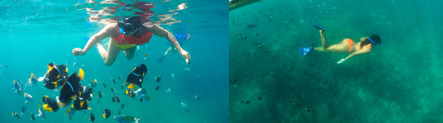 43’ Private Catamaran Charter in Puerto Vallarta 8