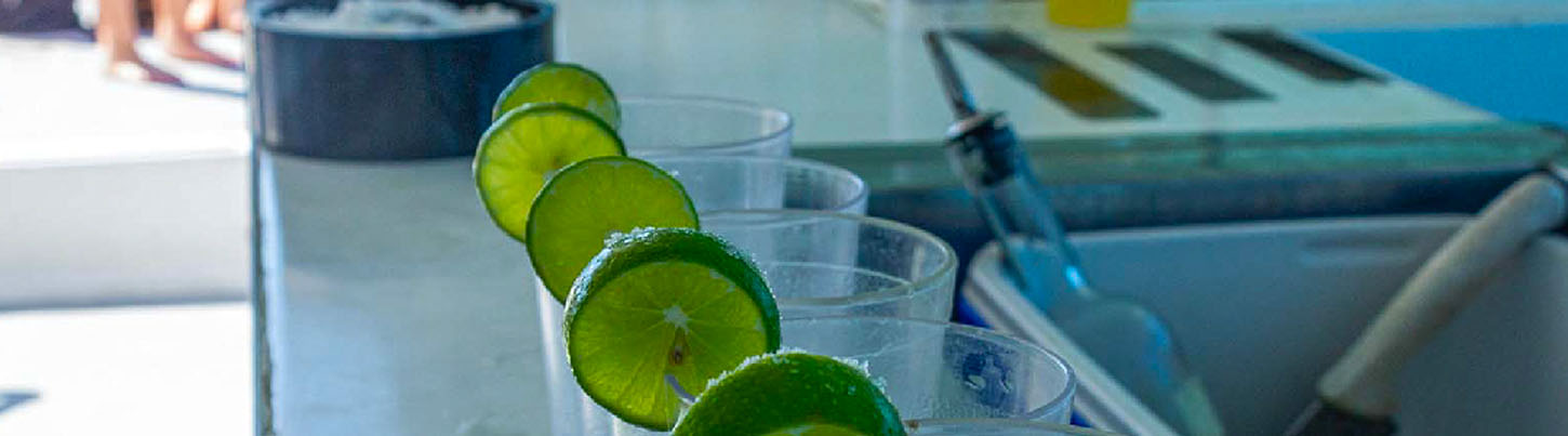 Private 90' Luxury Catamaran in Puerto Vallarta 7