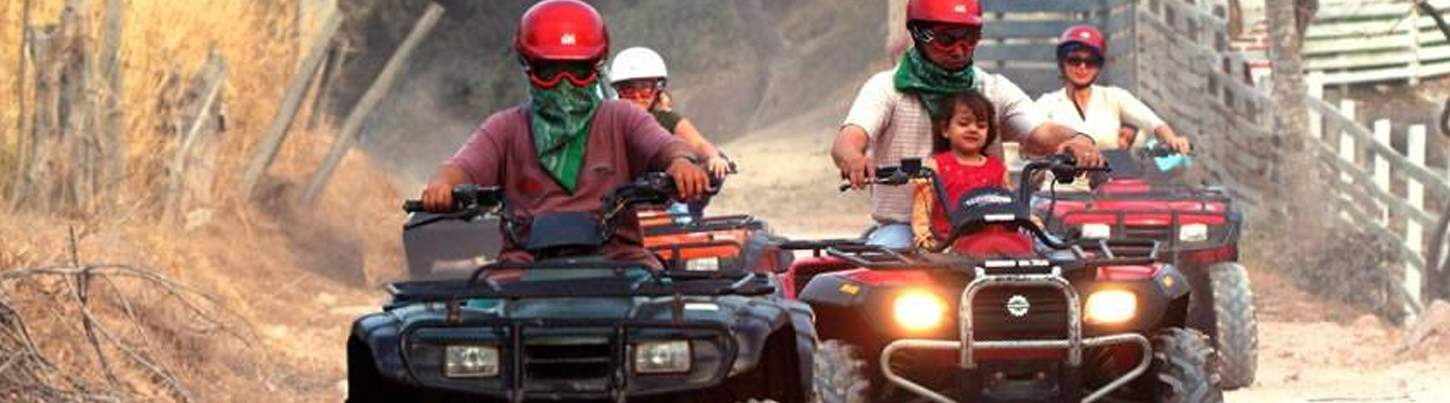 ATV, Canopy & Horses 3