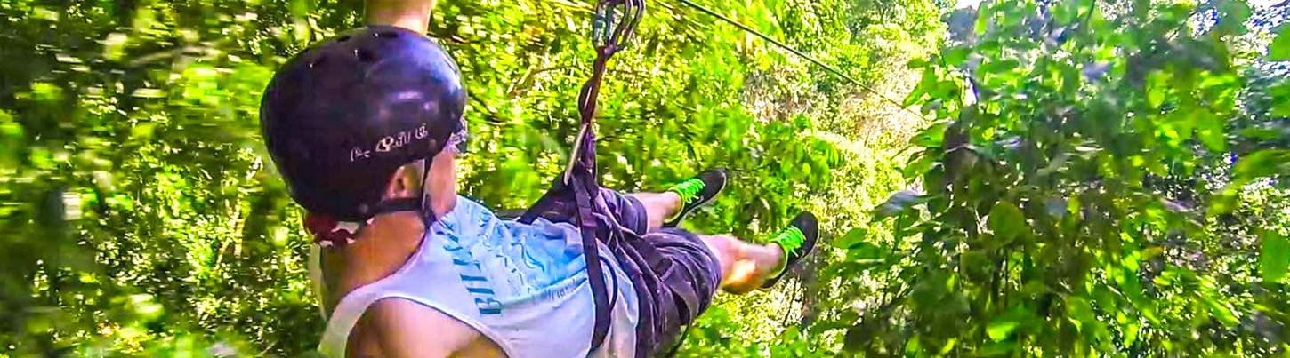 ATV, Canopy & Horses 6