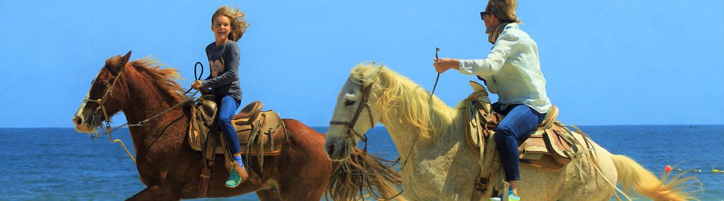 Paseo en Caballo por la Playa en Vista Paraíso 1