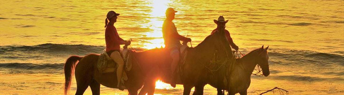 Paseo en Caballo por la Playa en Vista Paraíso 6