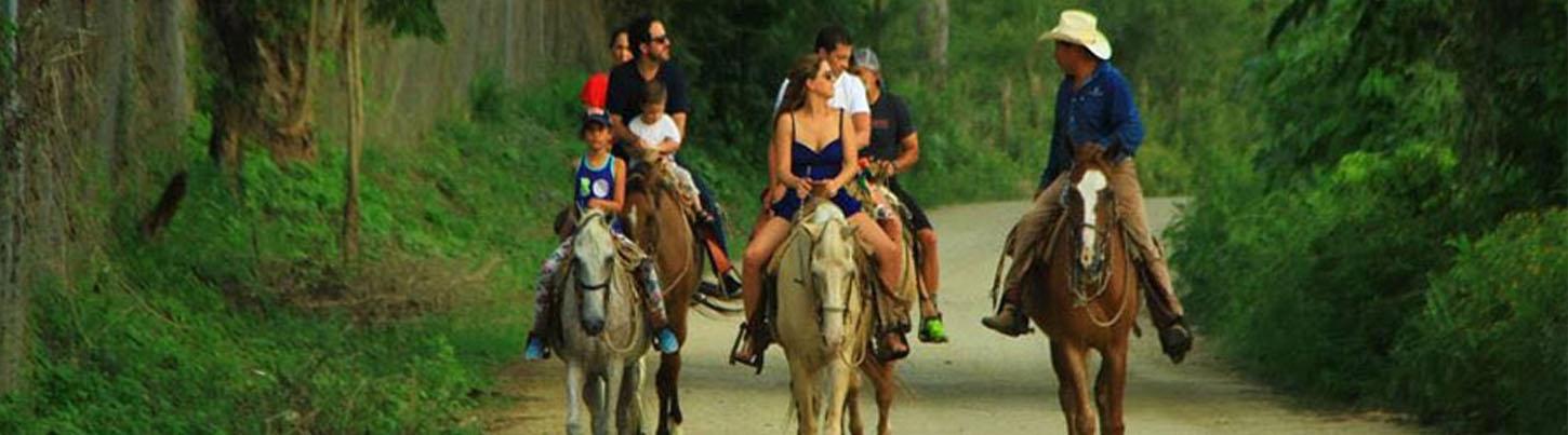 Paseo en Caballo por la Playa en Vista Paraíso 8