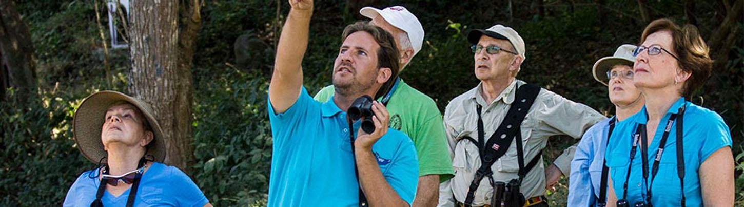 Avistamiento de Aves en Sierra Del Vallejo, San Pancho & Estuarios de Sayulita 1