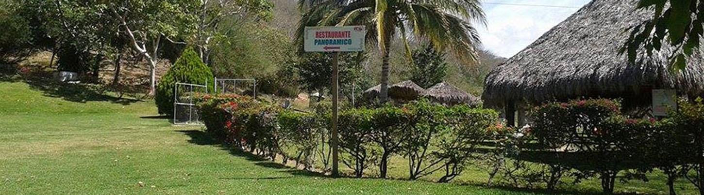 Avistamiento de Aves en Sierra Del Vallejo, San Pancho & Estuarios de Sayulita 6