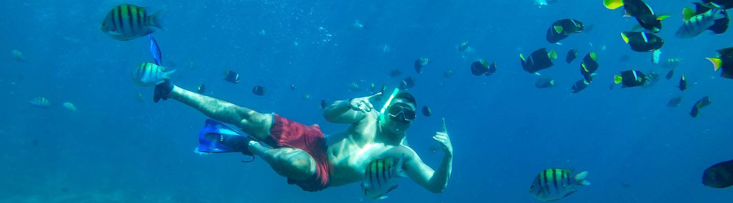 Crucero por la Bahía Cielito Lindo hacia Playa Las Animas 7