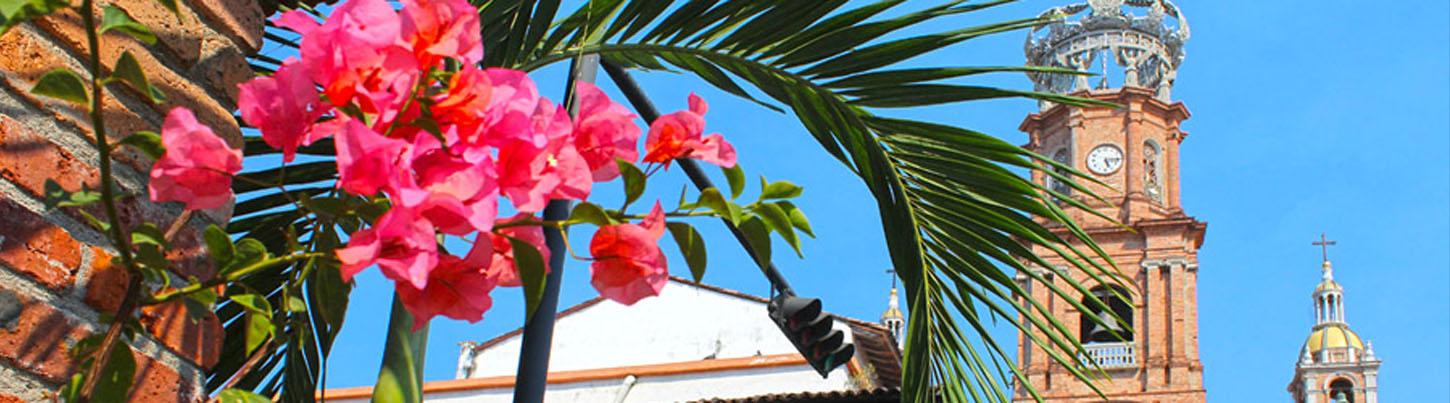 Recorrido Turístico por Puerto Vallarta & Explorador Tropical 6