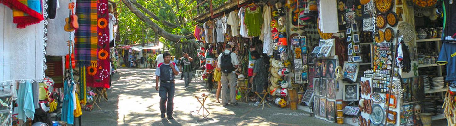 Recorrido Turístico por Puerto Vallarta & Explorador Tropical 8